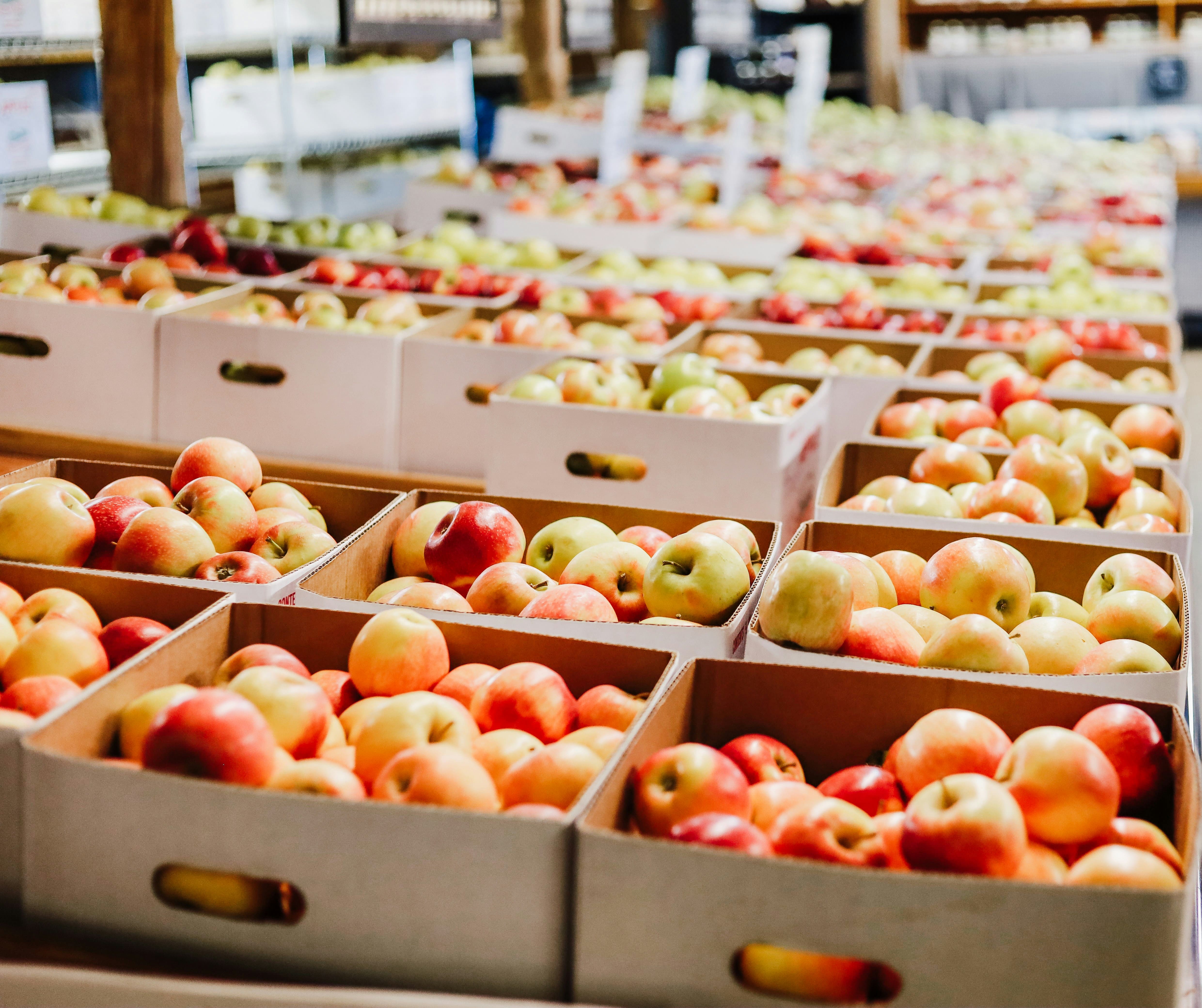 5 Things Every Restaurant Should Know When Choosing a Fresh Produce Supplier