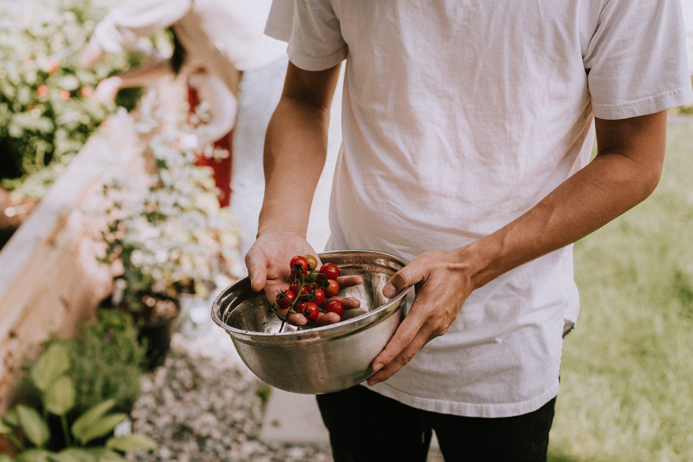 Urban Agriculture and How It Can Contribute to Better Food Systems